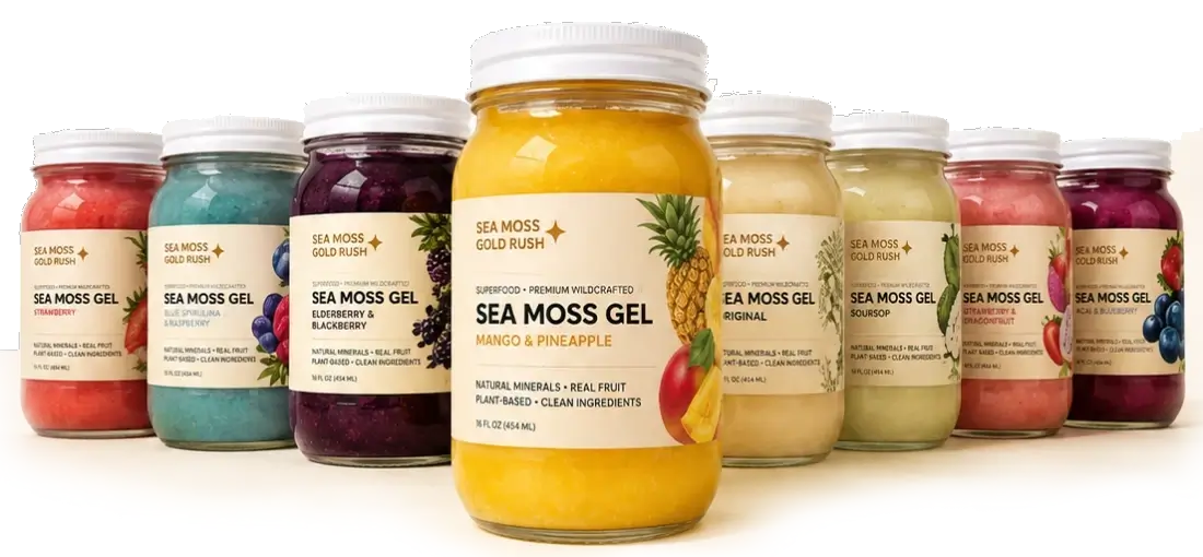 Sea Moss Gold Rush sea moss gel jars